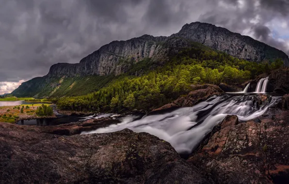 Forest, summer, water, clouds, trees, mountains, clouds, nature