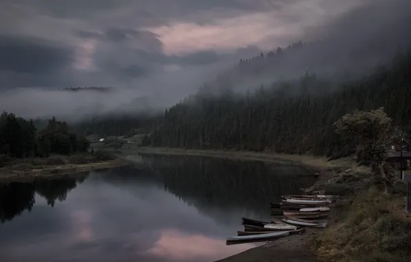 Forest, the sky, clouds, mountains, clouds, fog, lake, reflection