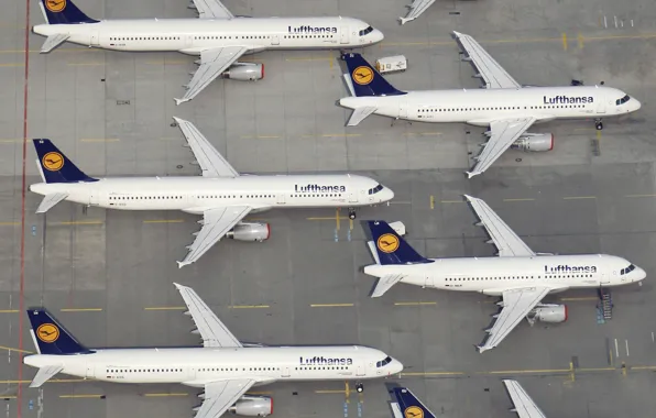 Aircraft, Liner, Board, Airport, Lufthansa, Airbus, Aircraft, Airbus A321