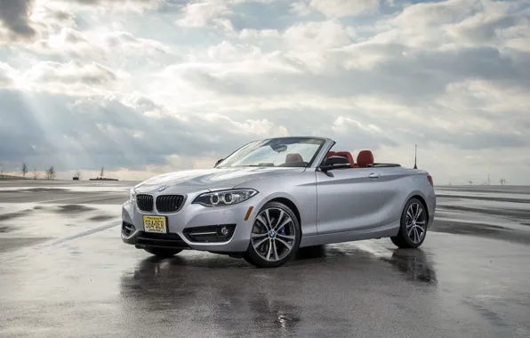 BMW, Sport, Cabrio, 228i, Lin