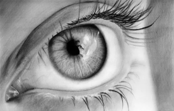 Figure, Look, Eyes, Eyelashes, The pupil, Pencil, Black and white, Closeup