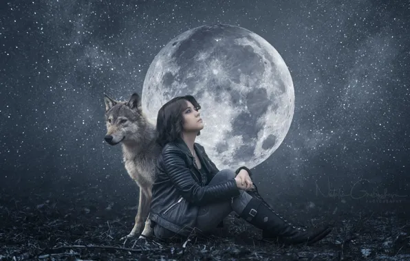 Moon, fantasy, nature, art, predator, animal, wolf, wildlife