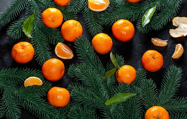 Christmas, New year, slices, tangerines, spruce branches