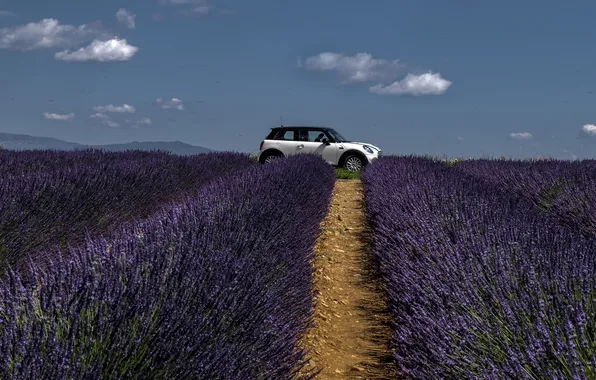 Machine, summer, clouds, flowers, blue, car, path, lavender