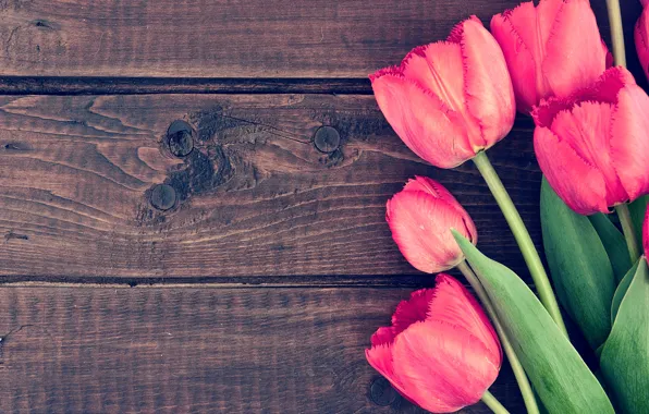 Flowers, bouquet, tulips, wood, pink, romantic, tulips, spring