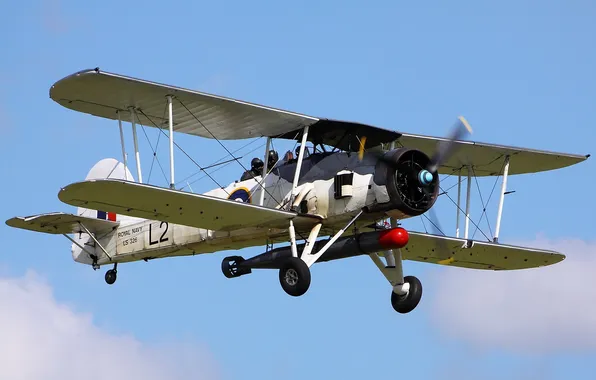 Picture aviation, the plane, Swordfish