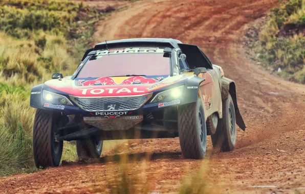 Auto, Machine, Speed, Peugeot, Lights, Red Bull, Rally, Dakar