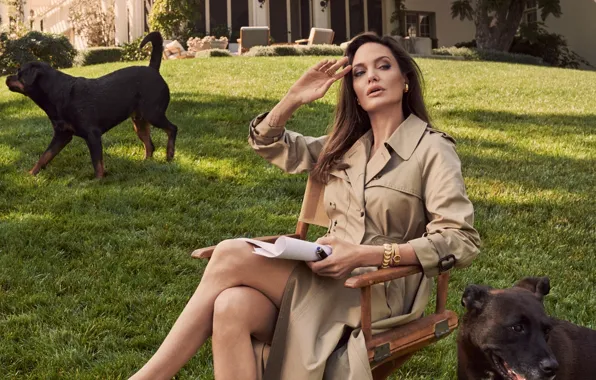 Dogs, pose, house, actress, brunette, Angelina Jolie, Angelina Jolie, chair