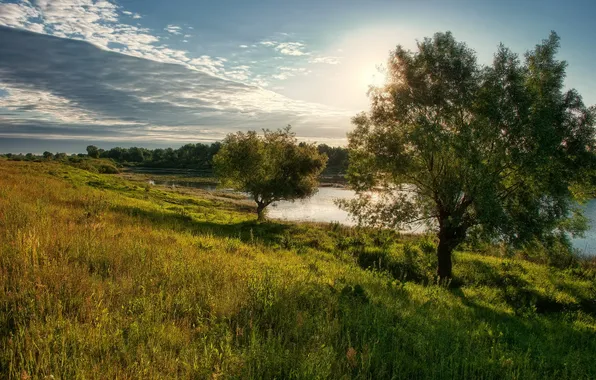 Summer, trees, river