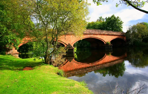 Bridge, nature, river, shore