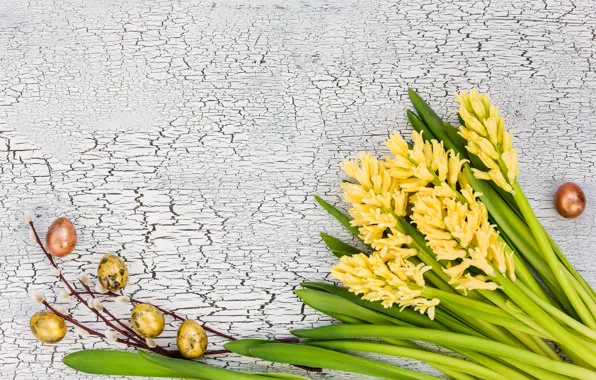 Eggs, spring, Easter, Verba, hyacinth