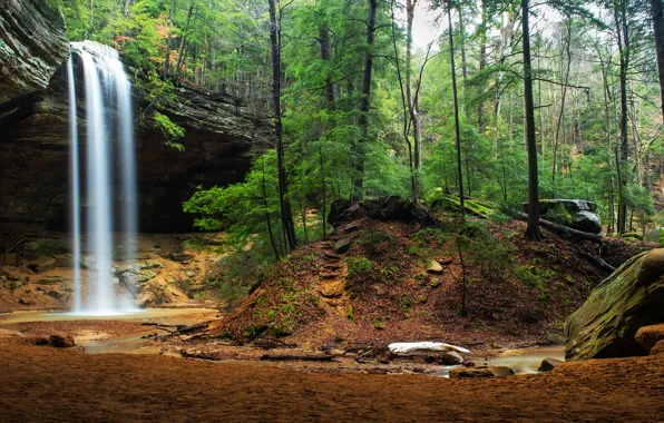 Forest, trees, rock, stones, waterfall, USA, Ohio, Hocking Hills