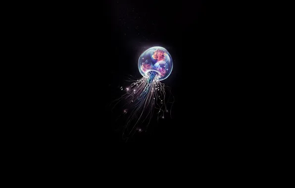 Minimalism, Depth, Light, Medusa, Fantasy, Art, Art, Jellyfish