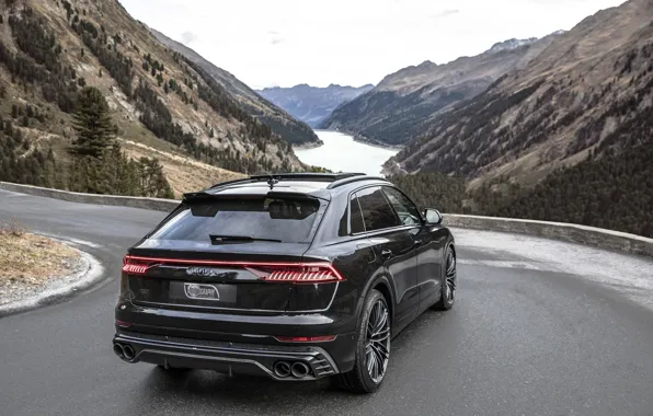 Mountains, Audi, TDI, rear view, crossover, ABBOT, 2019, SQ8