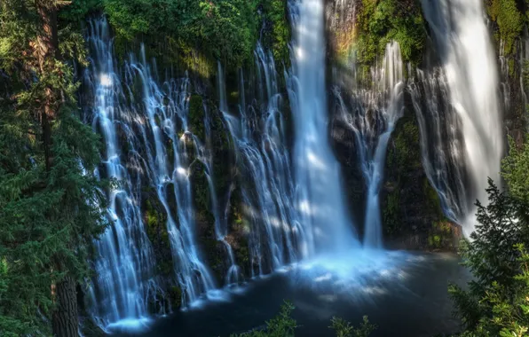 Forest, lake, waterfall, USA, McArthur-Burney Falls