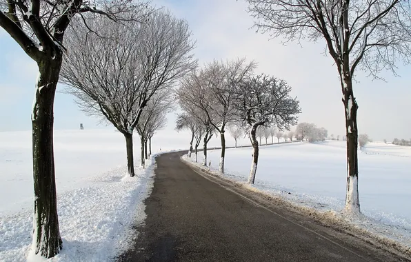 Winter, road, trees