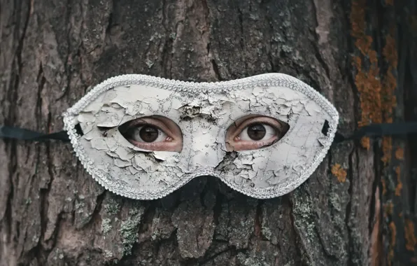 Picture eyes, tree, mask