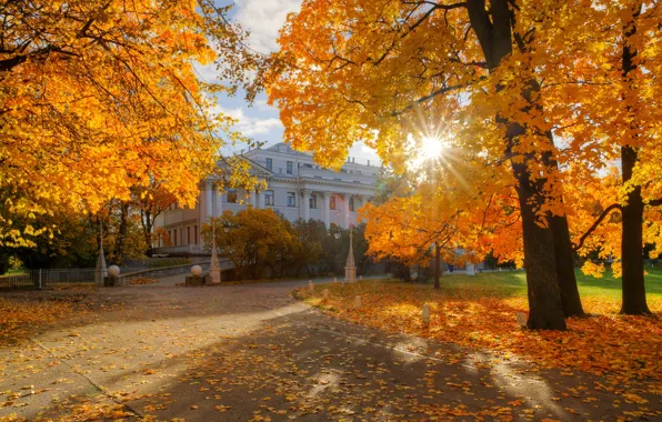 Autumn, the sun, rays, trees, the building, Eduard Gordeev, Saint Petersburg