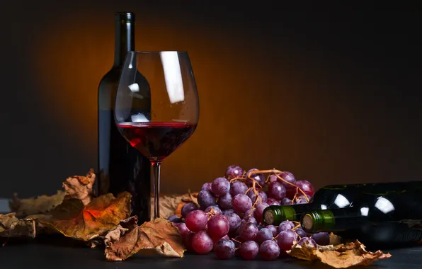 Vintage, wine, vine, taste, winery