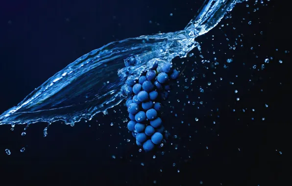 WATER, DROPS, SQUIRT, GRAPES, BERRIES, BUNCH