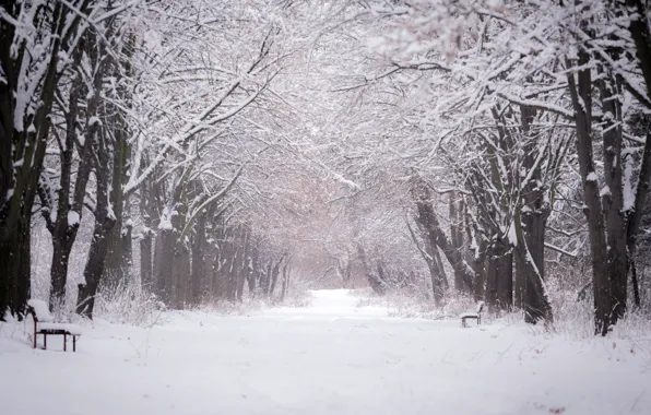 Winter, the city, Park, bench