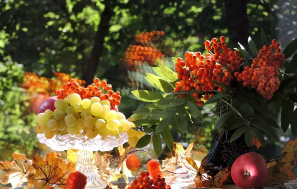 Picture autumn, leaves, photo, apples, grapes, August, still life, Rowan