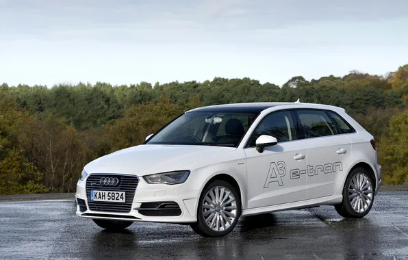 White, photo, Audi, Audi, car, e-tron, Sportback, 2015