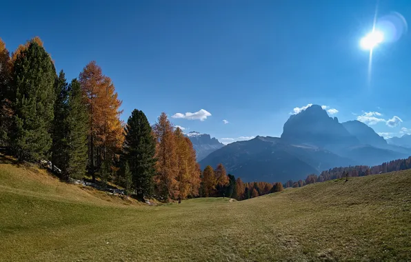 Picture autumn, forest, the sky, the sun, trees, mountains, slope, Alps