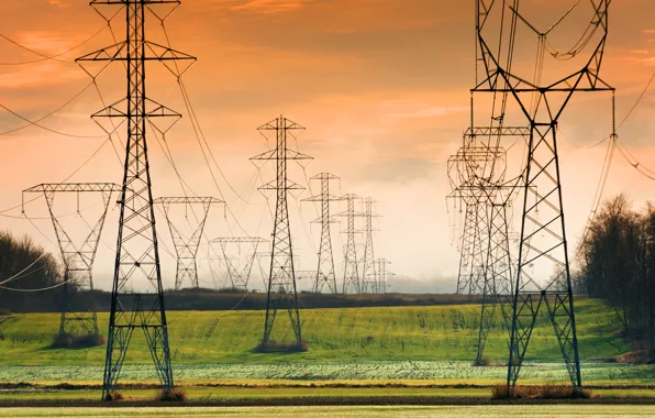 Field, the sky, power lines