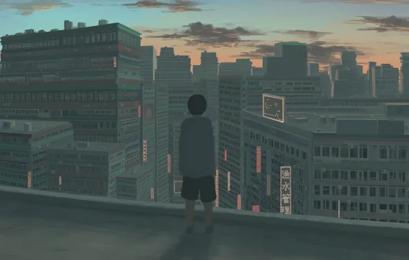 Picture roof, sunset, the city, boy