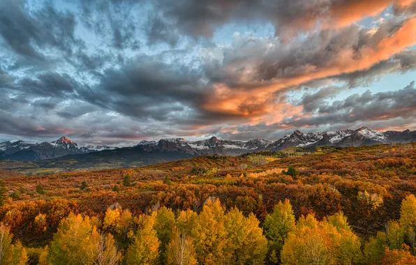 Autumn, forest, the sky, clouds, light, snow, trees, sunset