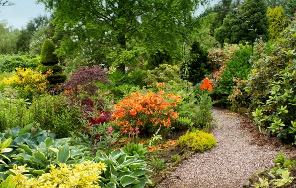 Greens, leaves, trees, flowers, garden, UK, gravel, path