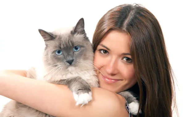 Cat, girl, brown hair