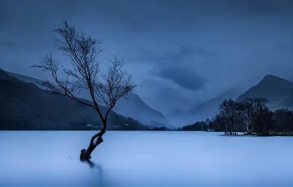 Picture mountains, lake, tree, UK, Wales. Snowdonia national Park