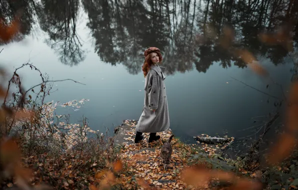 Picture autumn, forest, cat, cat, look, girl, branches, nature