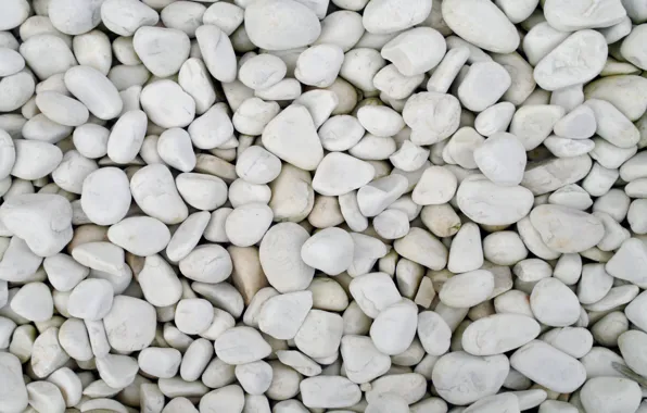 Pebbles, stones, white