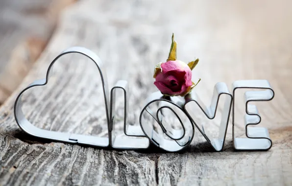 Love, letters, the inscription, heart, Board, rose, love, dried