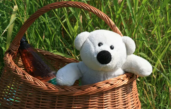 Picture greens, summer, mood, stay, Wallpaper, basket, toy, bear