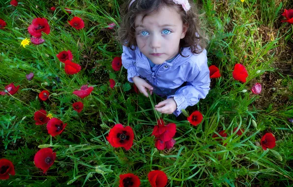 Flowers, Maki, girl, blue-eyed