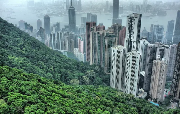 Picture trees, China, home, skyscrapers, china, gongong, hong hong