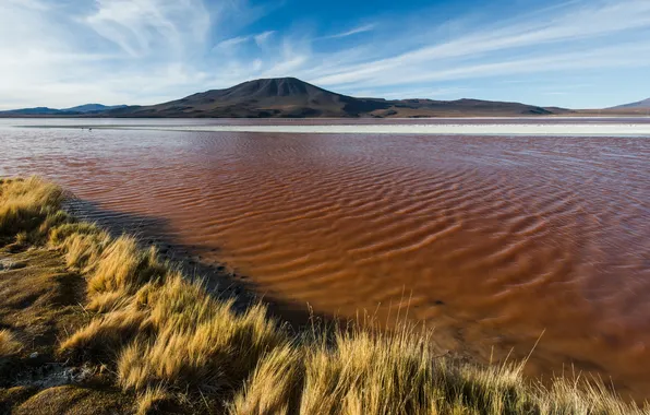Picture landscape, Bolivia, Laguna Colorada