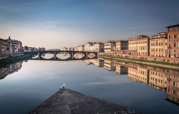 Florence, architecture, river Arno