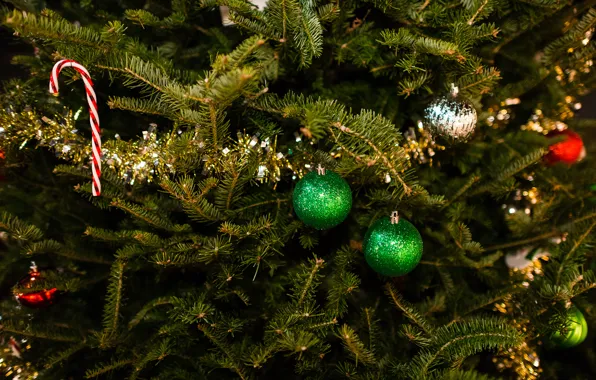Winter, balls, branches, toys, tree, spruce, New Year, green