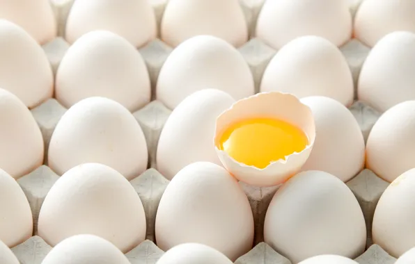 Eggs, shell, the yolk