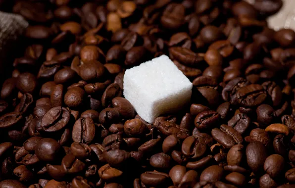 Table, coffee, sugar, placer, coffee beans, piece