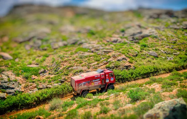Red, Sport, Truck, Race, Rally, Rally, The roads, 304