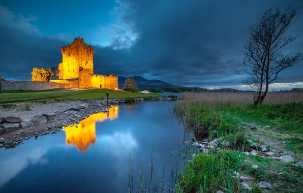 Lake, reflection, castle, tree, Ireland, Ireland, Kerry, Kerry