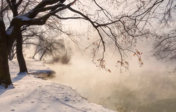 Winter, snow, trees, landscape, nature, Park, pond, Krasnodar