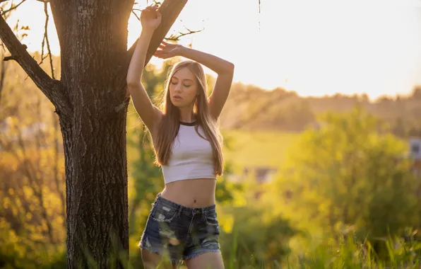 Picture girl, light, Angelica