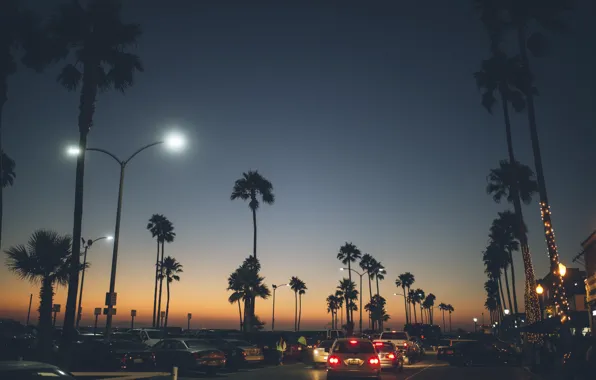 Road, machine, the city, palm trees, the evening, Balboa Peninsula, Newport Beach